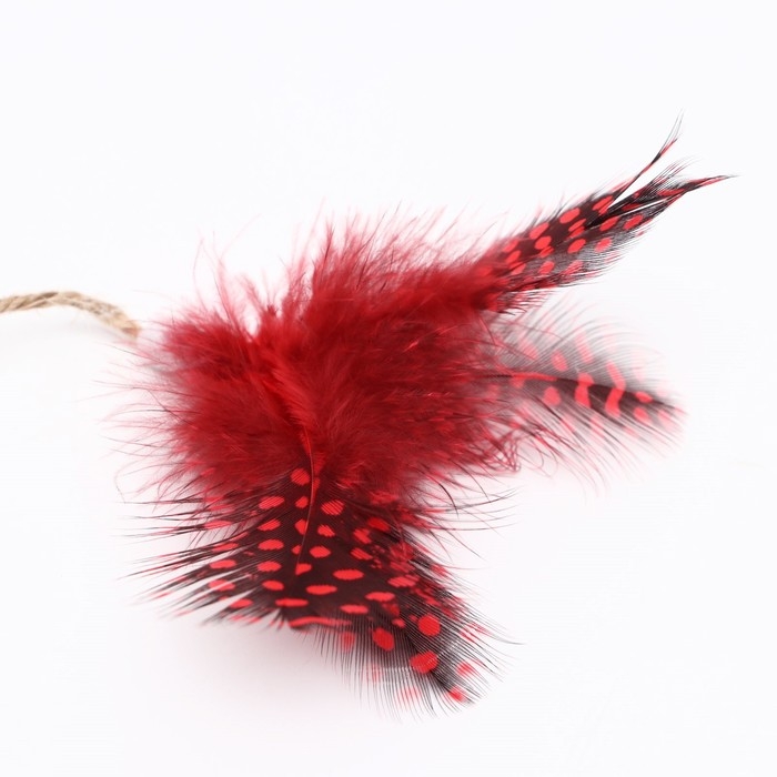 Игрушка для кошек с кошачьей мятой и перьями  Игрушка для кошек с кошачьей мятой и перьями "Лиса", 10 см, с бубенчиком