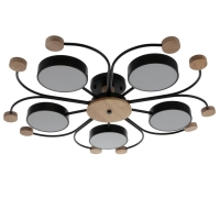 Люстра 1314/5BK LED 120Вт 3000-6000К черный 90х90х15 см BayerLux