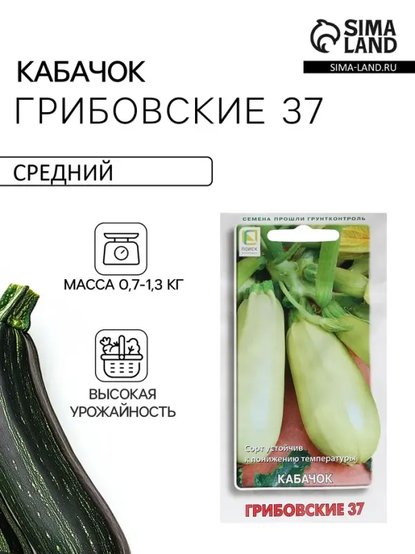 Семена Кабачок &laquo;Грибовские 37&raquo;, 12 шт., &laquo;ПОИСК&raquo;