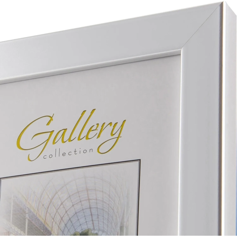 Рамка МИРАМ 21х29,7 (A4) 641822-A4 (12)