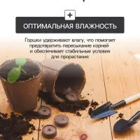 Набор для рассады: торфяной горшок 6&times;6 см, кассета на 40 ячеек, Greengo
