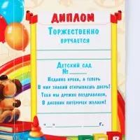 Диплом "Выпускника детского сада", 19х11х0,9 см, набор 5 шт Диплом "Выпускника детского сада", 19х11х0,9 см, набор 5 шт