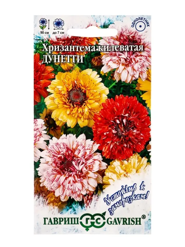 Семена цветов Хризантема Дунетти (махровая) 0,5 г. серия Устойчив к заморозкам!