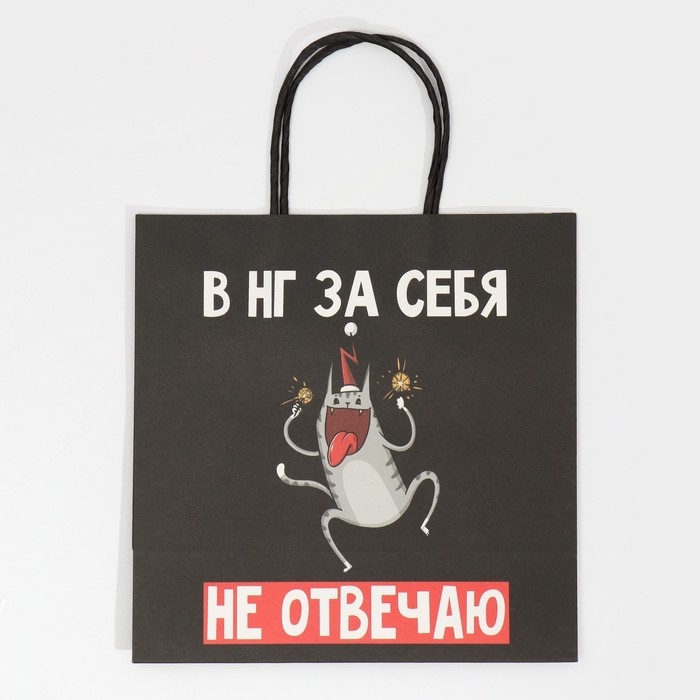 Пакет подарочный новогодний «Вообще не отвечаю», 22 х 22 х 11 см Пакет подарочный новогодний «Вообще не отвечаю», 22 х 22 х 11 см