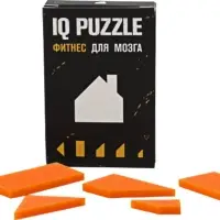 Головоломка IQ Puzzle, домик