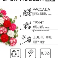 Семена цветов Пеларгония зональная &laquo;Колорама &raquo; F2, смесь окрасок,0.02 г