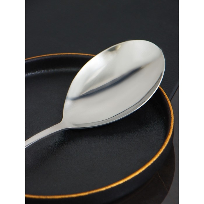 Ложка гарнирная из нержавеющей стали Доляна, h=25 см, толщина 2,2 мм, 410 сталь Ложка гарнирная из нержавеющей стали Доляна, h=25 см, толщина 2,2 мм, 410 сталь