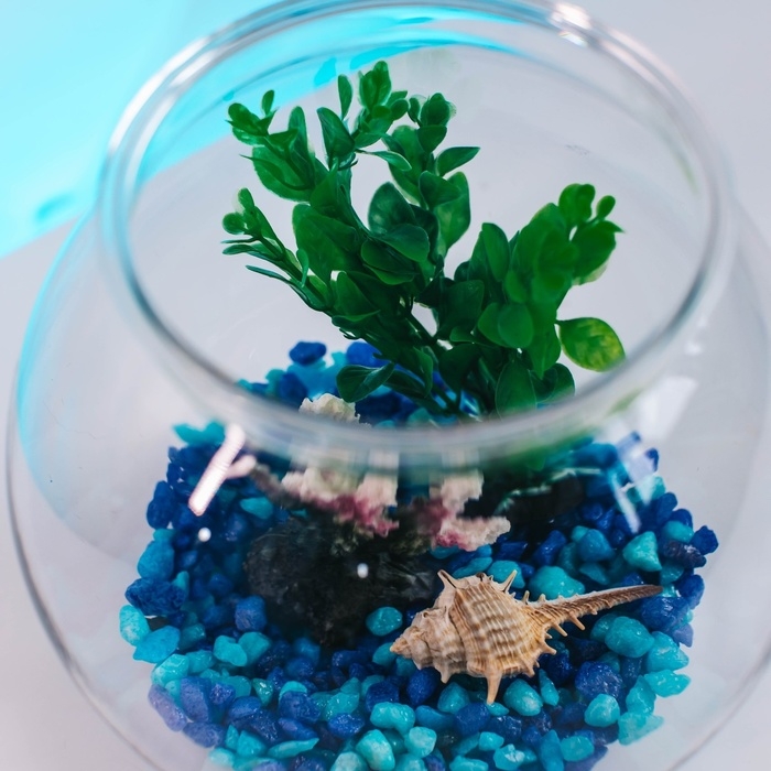 Аквариум круглый пластиковый 3 литра Аквариум круглый пластиковый 3 литра