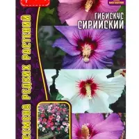 Семена цветов Гибискус Сирийский 7 шт. 12.29 г.