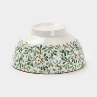 Салатник &laquo;Гармония лепестков&raquo;, 15.5&times;5.5 см, фарфор, белая, зелёная