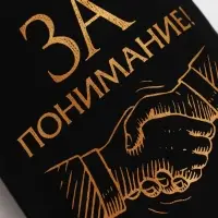 Стопки в чехле &laquo;За понимание!&raquo;: нержавеющая сталь, набор 3 шт.&times;30 мл