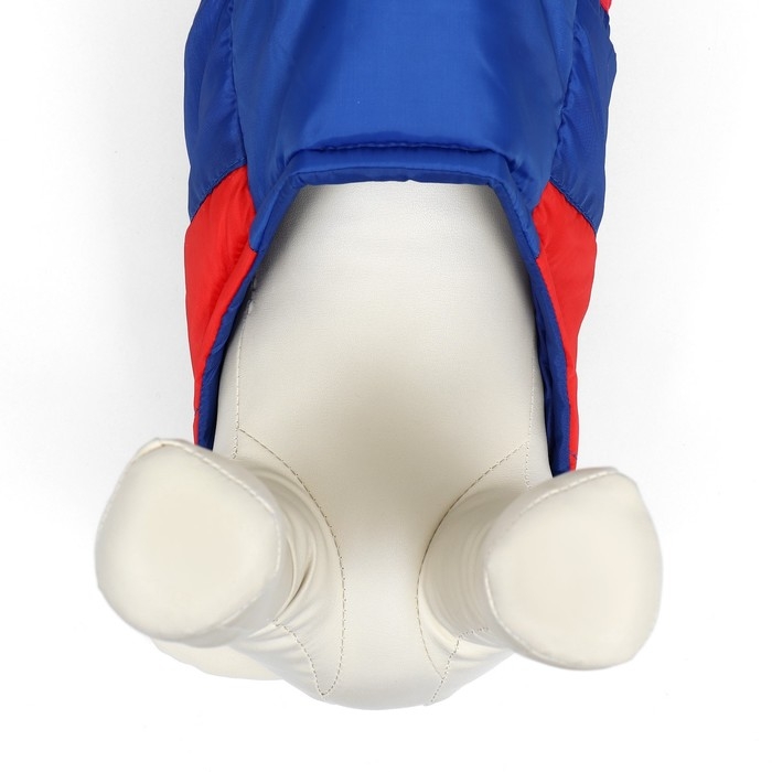 Куртка для собак  Куртка для собак "Патриот", размер S (ДС 22, ОГ 37 см)