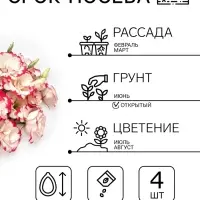 Семена цветов Эустома &laquo;Эхо Пикоти&raquo; F1, розовая, гранулы, пробирка, 4 шт.