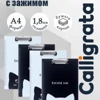 Планшет с прижимом А4 &laquo;Кот&raquo;, МИКС