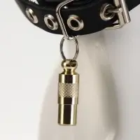 Адресник-капсула под записку, 0.9&times;2.75 см, фасовка 6 шт., металл, цвет МИКС
