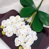 Цветы искусственные &laquo;Орхидея королевская&raquo;, 3.5&times;28 см, белые