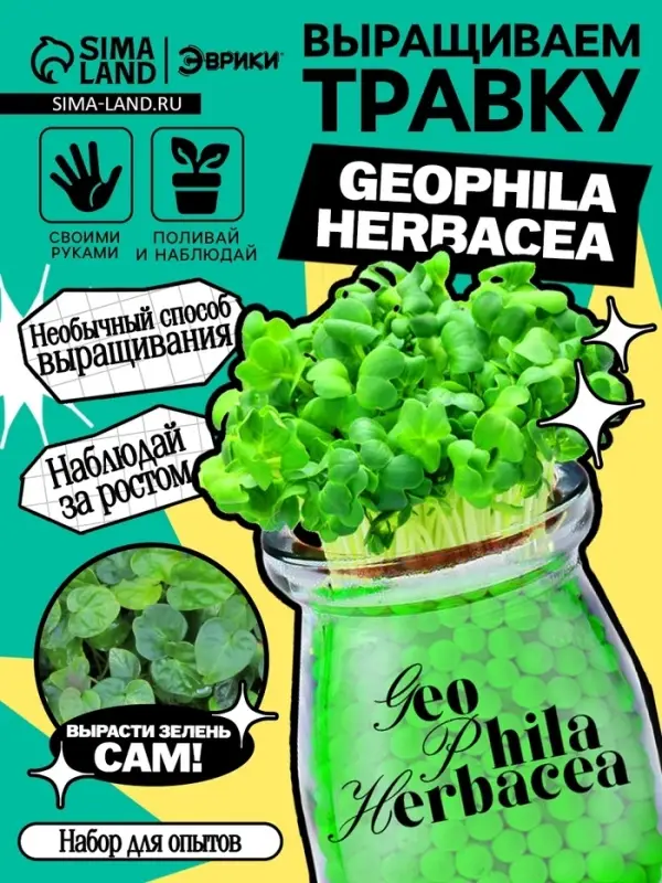 Набор для опытов &laquo;Выращиваем травку&raquo;, своими руками, зеленый