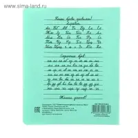 Тетрадь 12 листов узкая линейка «Зелёная обложка», с алфавитом, термоупаковка, фасовка по 25 шт.