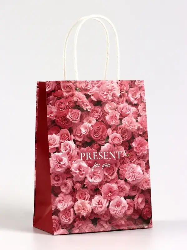 Пакет подарочный крафт Present, 15×8×21 см