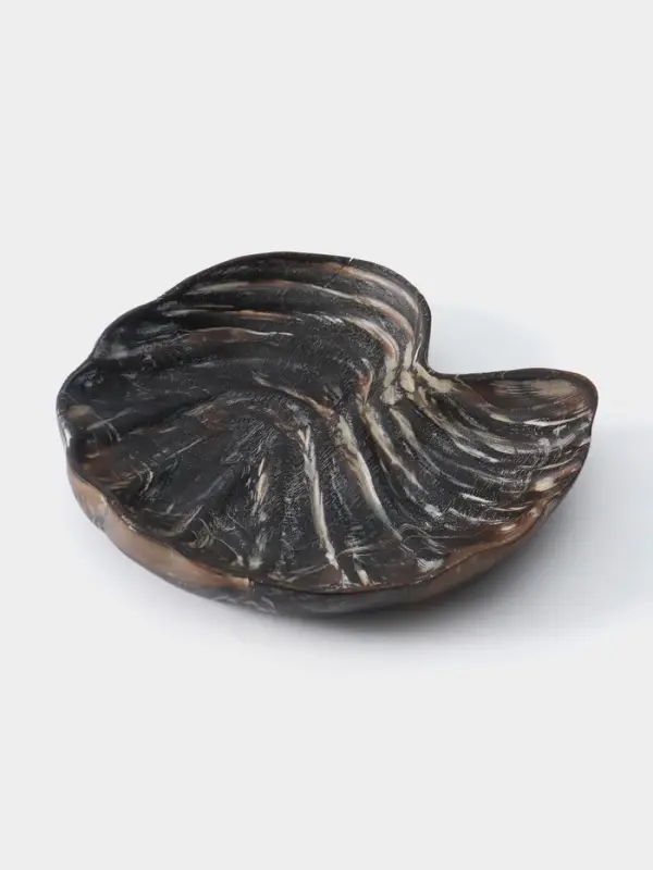 Тарелка &laquo;Ракушка&raquo;, 26&times;23&times;3 см, дерево джати, тёмно-коричневая