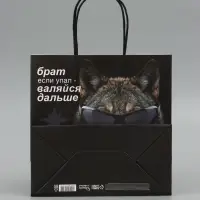 Пакет подарочный крафтовый &laquo;Брат&raquo;, 22&times;22&times;11 см