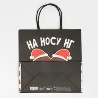 Пакет подарочный новогодний &laquo;На носу НГ&raquo;, 22&times;22&times;11 см
