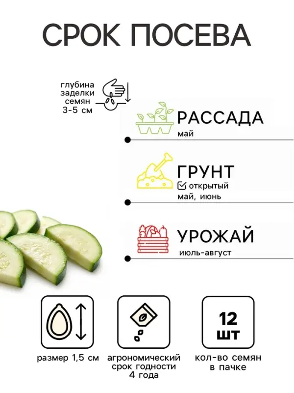 Семена Кабачок &laquo;Мячик&raquo;, 12 шт., &laquo;Поиск&raquo;
