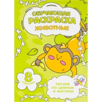 Раскраска обучающие по цифрам и фигурам 4шт/уп. Для девочек