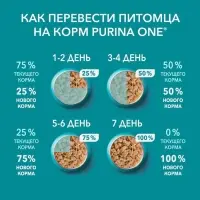 Влажный корм Purina One для кошек, говядина/морковь, 75 г