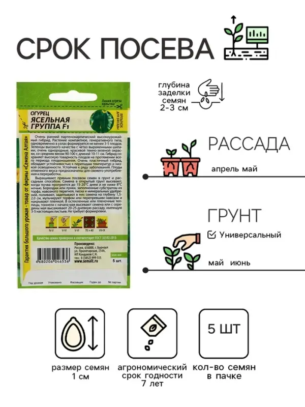 Семена Огурец "Ясельная Группа",  F1, 5 шт