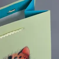 Пакет подарочный ламинированный "Маленький котенок" 18 х 22,3 х 10 см