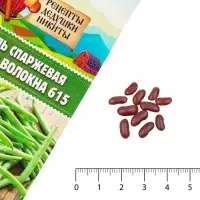 Семена Фасоль спаржевая &laquo;Сакса без волокна 615&raquo;, 3 г, &laquo;Рецепты дедушки Никиты&raquo;