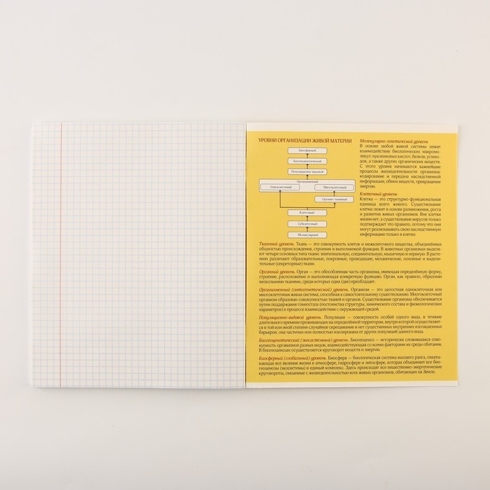 Набор тетрадей А5, 48 л "Персонажи" биология, физика, химия