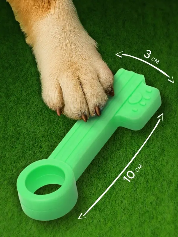 Жевательная игрушка для собак &laquo;Ключик&raquo;, 10 см, TPR, зелёная