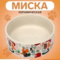 Миска &laquo;Цветные пятнышки&raquo;, 250 мл, 11.5&times;11.5&times;4.5 см, керамика, бежевая