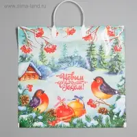Пакет «Птичья трель», полиэтиленовый с пластиковой ручкой, 37×34 см