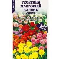 Семена Георгина Махровый карлик смесь /Сотка/ 0,2г/ h-25-30см d-5-6см/*1500 Семена Георгина Махровый карлик смесь /Сотка/ 0,2г/ h-25-30см d-5-6см/*1500
