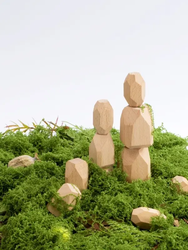 Игра-балансир IQ Balance Игра-балансир IQ Balance