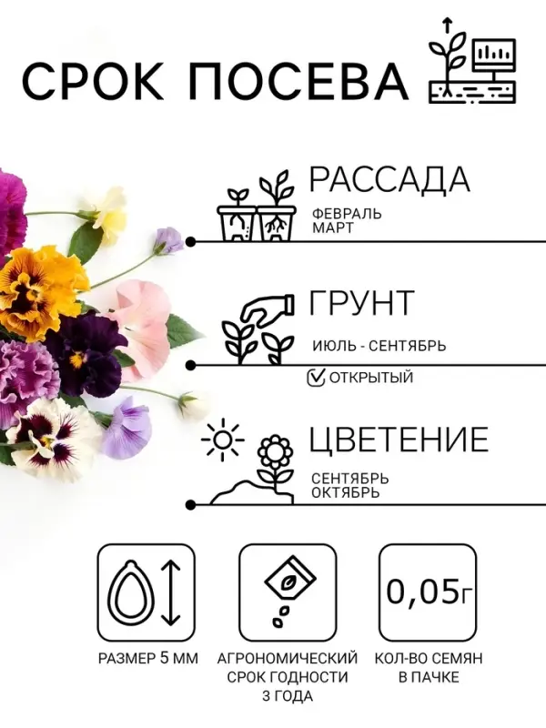 Семена цветов Виола &laquo;Эксклюзивная смесь&raquo;, 0.05 г, &laquo;Агроуспех&raquo;