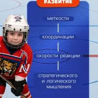 Хоккейный набор 3 в 1, 2 клюшки, 2 мяча, шайба, 4 ворота