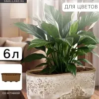 Кашпо для цветов &laquo;Микрит&raquo;, 6 л, 38&times;18&times;16.2 см, пластиковое, со вставкой, бежевое