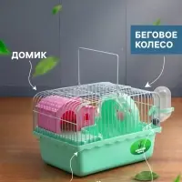 Клетка для грызунов &laquo;Пижон&raquo;, 23&times;17&times;15 см, с наполнением, зеленая