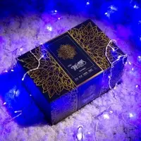 Гирлянда &laquo;Занавес&raquo; 2&times;6 м, IP44, УМС, белая нить, 1440 LED, свечение синее, 220 В