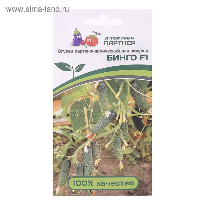 Семена огурца Семена огурца "Бинго", F1, 5 шт.