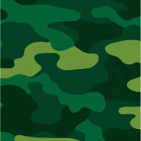 Салфетки бумажные Милитари 33X33см 12шт/уп арт.6046125