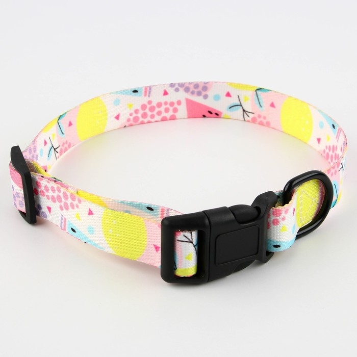 Ошейник «Сочное настроение», застёжка - фастекс, 2.5 см, 40-55 см Ошейник «Сочное настроение», застёжка - фастекс, 2.5 см, 40-55 см