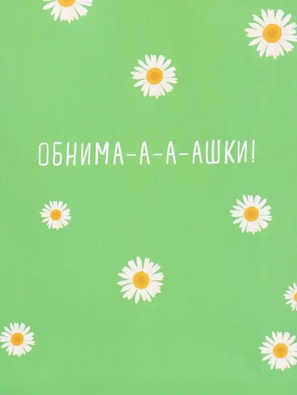 Пакет подарочный ламинированный &laquo;Ромашки - обнимашки&raquo;, 18&times;22.3&times;10 см