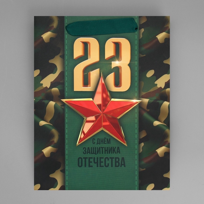 Пакет подарочный ламинированный вертикальный, упаковка, &laquo;С 23 февраля&raquo;, MS 18 х 23 х 10 см