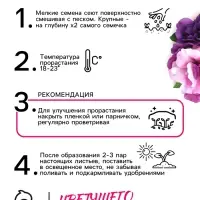 Семена цветов Петуния махровая каскадная &laquo;Блю & Орхид&raquo;, F1, смесь, 5 шт., однолетник, Premium seeds
