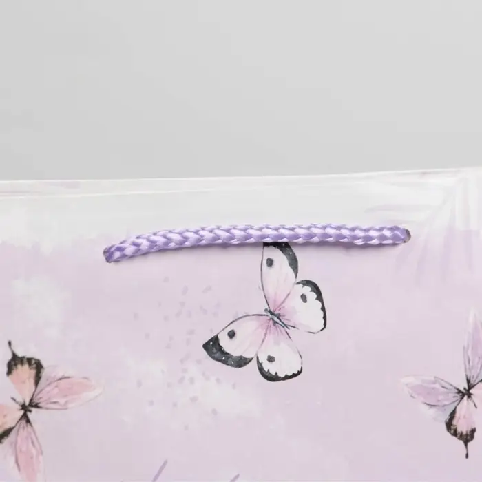 Пакет подарочный ламинированный, упаковка, Special for you, ML 21&times;25&times;8 см